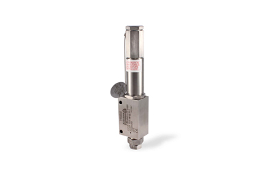 RPV Series Parker RPV Series